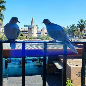 Alloggio in famiglia Betis Del Oro, Siviglia